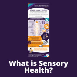 Thumbnail What is Sensory Health Infographic