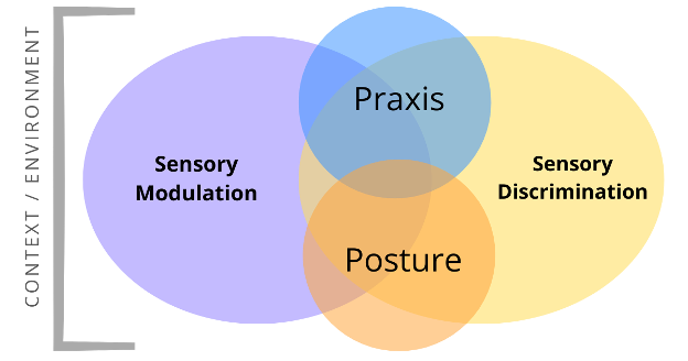 Graphic exploring sensory subtypes