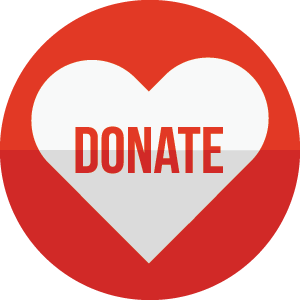 donate NOW button