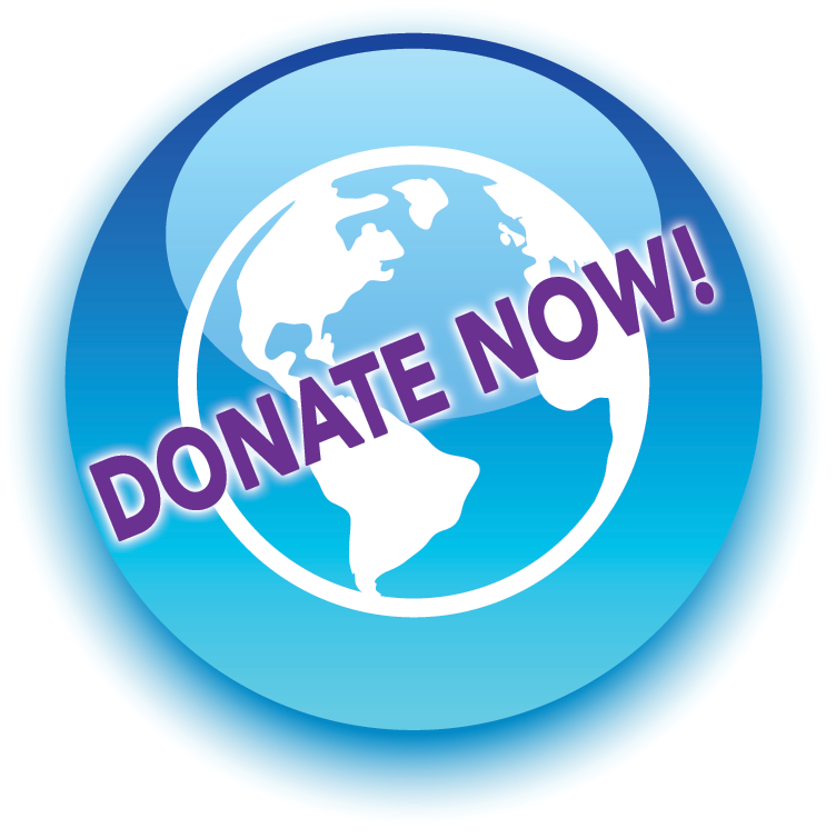 Donate now button